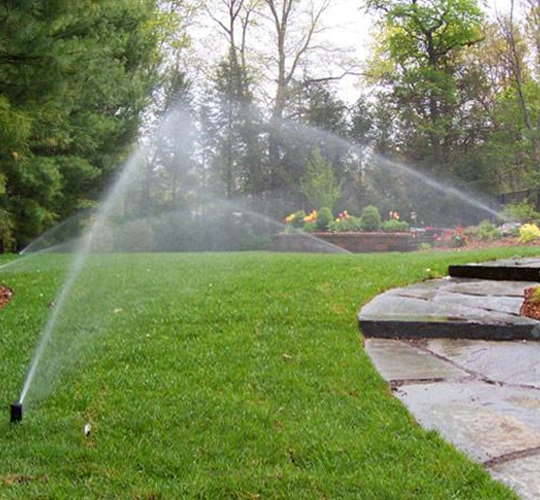 Irrigation Image