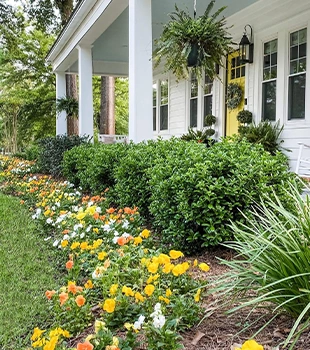 Outdoor Image