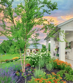 Outdoor Image