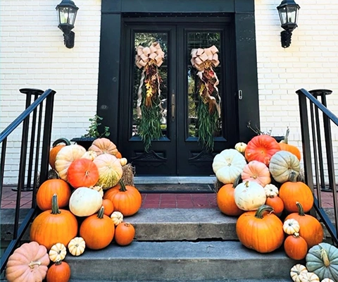 Pumpkin Image