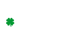 Donnelly Brothers Roofing - White Version Logo