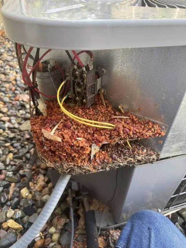 Before: debris packed around AC unit electrical components