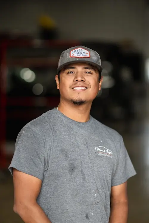 animal damage repair services