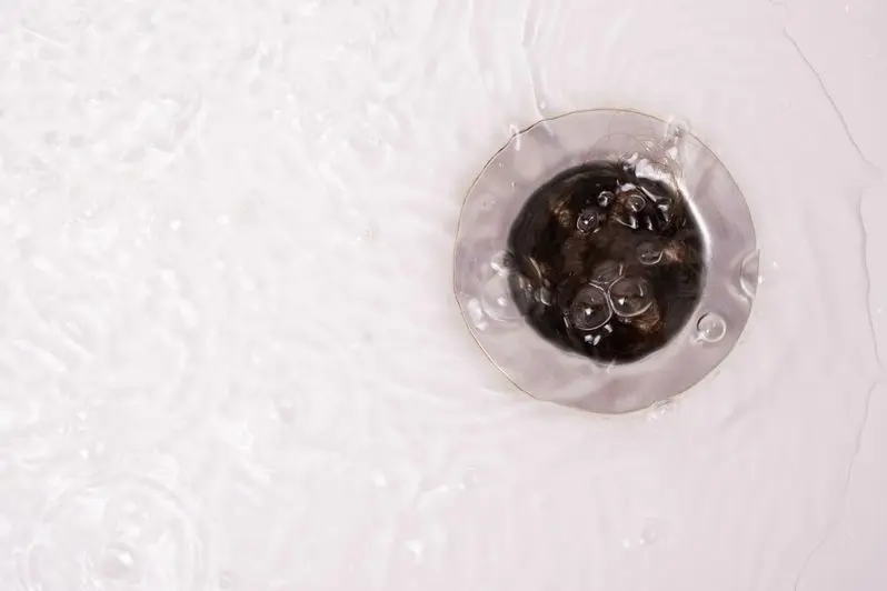 plum in the bathroom clogged with hair