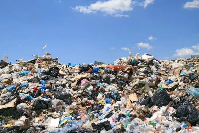 Benefits Garbage Disposal Benefits Garbage Disposal