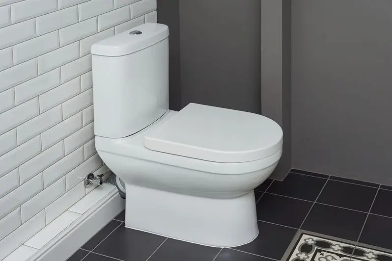Eco friendly toilet
