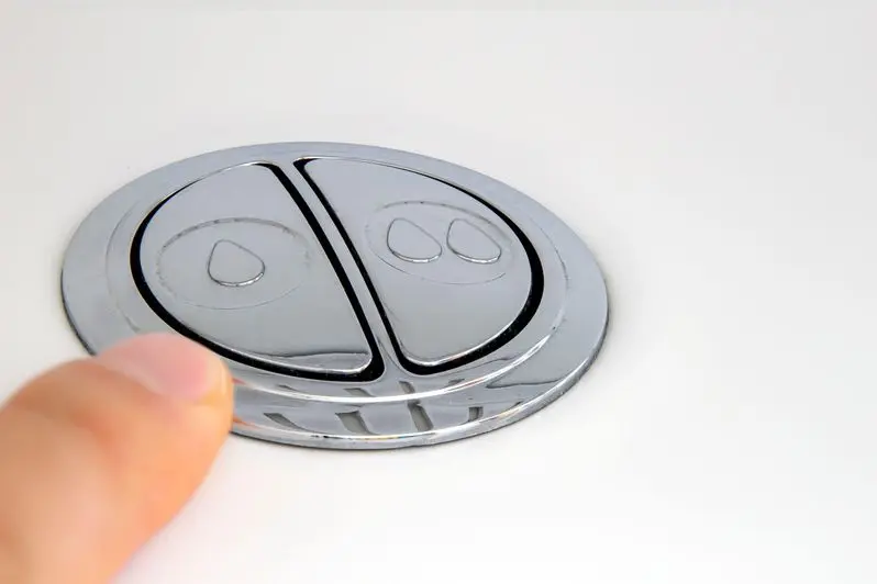 Dual flush toilet