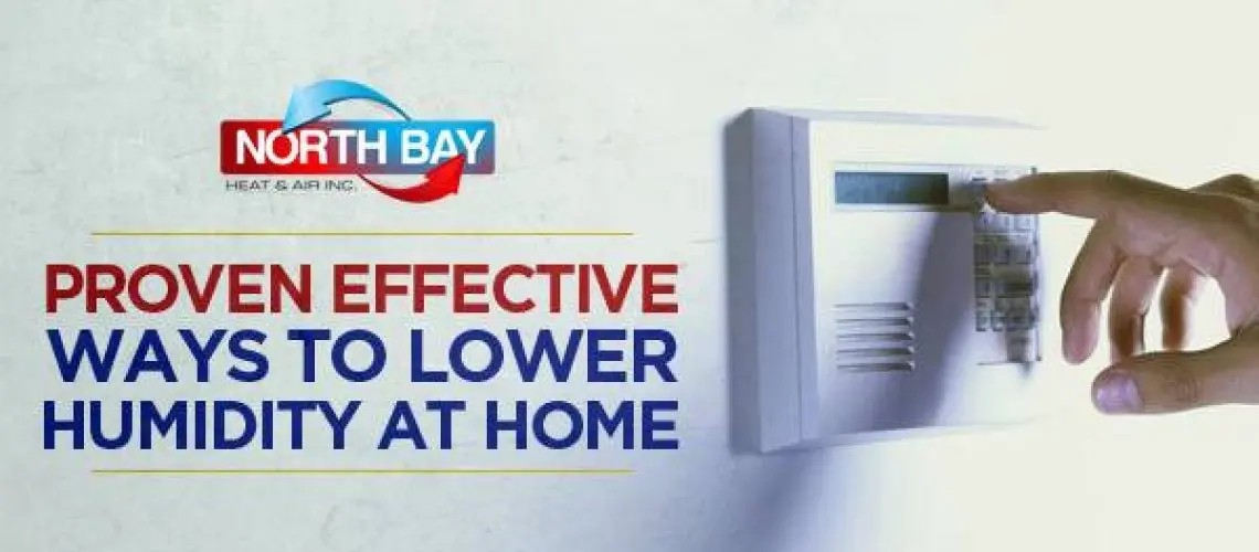 Proven Effective Ways to Lower Humidity At Home
