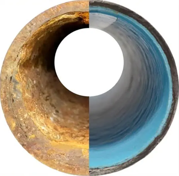 Section 5 Image