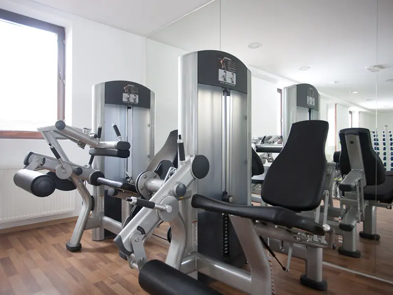 Fitnes sala u Hotel Palisad sa spravama za vežbanje, ogledalom, drvenim podom i prozorom sa prirodnim svetlom