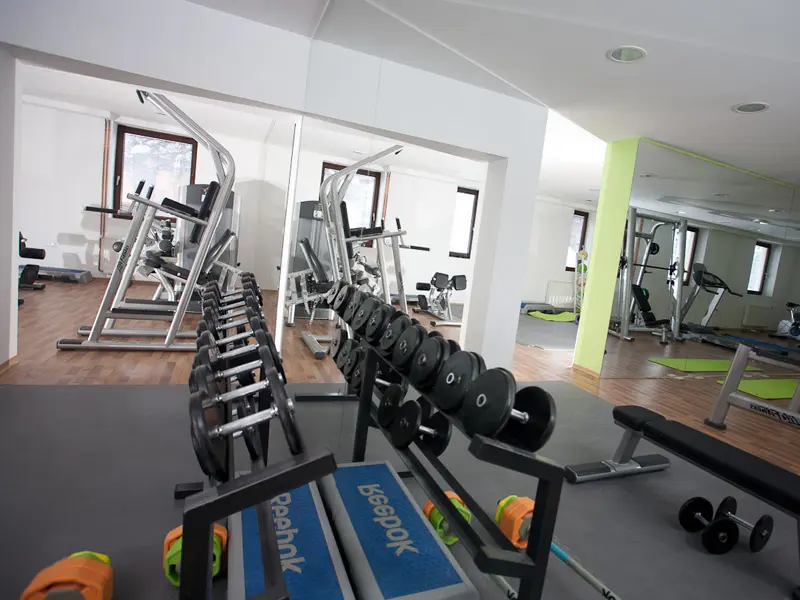 Fitnes sala u Hotel Palisad sa bučicama, stalkom za tegove, ogledalom i zelenim prostorom u pozadini