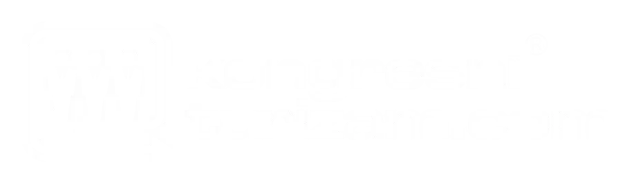 Kongresni Turizam