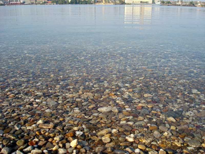 Bistra voda Dunava kod Hotel AquaStar Danube sa šljunčanim dnom i odrazom hotela u daljini