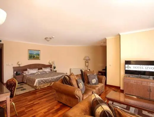 Apartman u Hotel Izvor sa bračnim krevetom, foteljama, TV-om i parketom