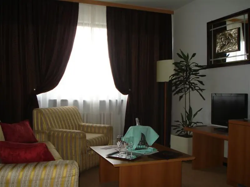 Dnevna soba apartmana u Hotel Grand Sarajevo sa prugastim foteljama, braon zavesama, televizorom i sobnom biljkom