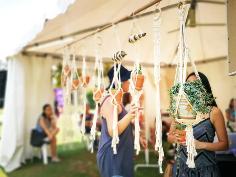 plants hanging
