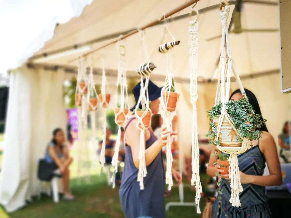 plants hanging