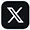 X Icon