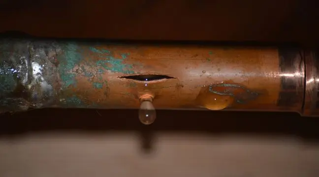 Top Ways to Identify a Water Leak