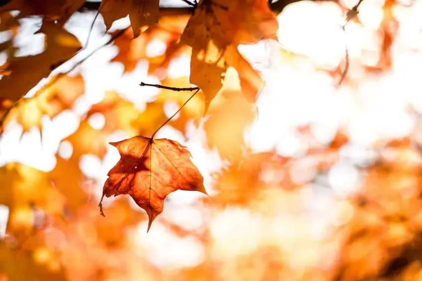 WATER HEATER MAINTENANCE TIPS FOR THE FALL