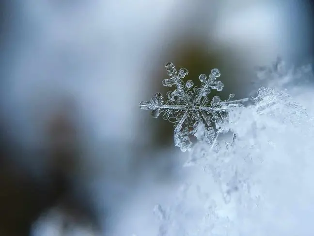 HOW TO PREVENT PIPES & HOSES FROM FREEZING DURING WINTER