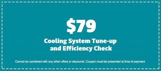 Cooling System Tune-up and Efficiency Check
