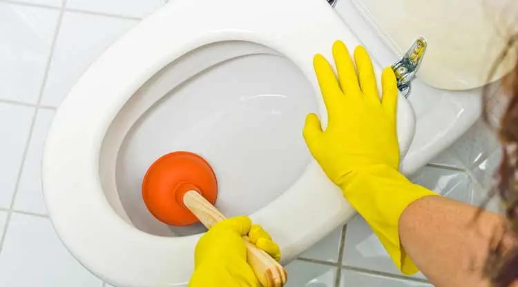 Holmdel, NJ Clogged Toilet Repair Service