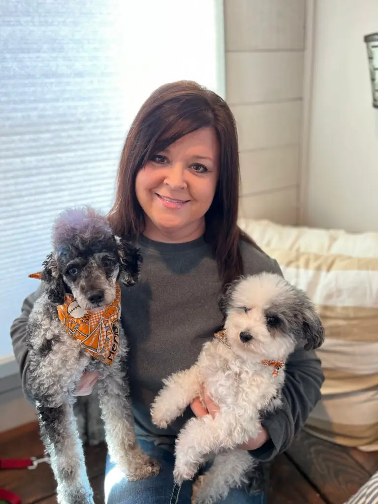 Woman sitting and holding two gray and white dogs in her arms.