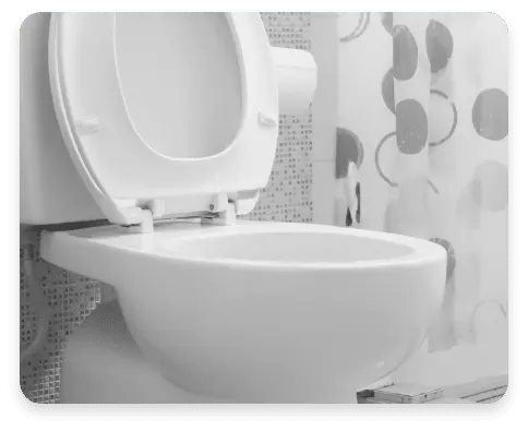 Toilet repair in Tacoma, WA