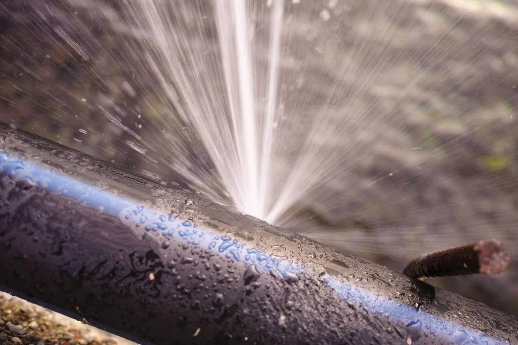 Leaking Sewer Line in need of Replacement in Tacoma, WA