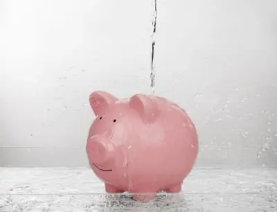 piggy 
