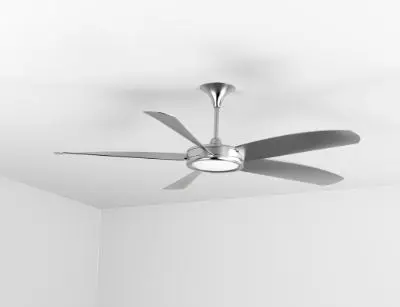 fans 