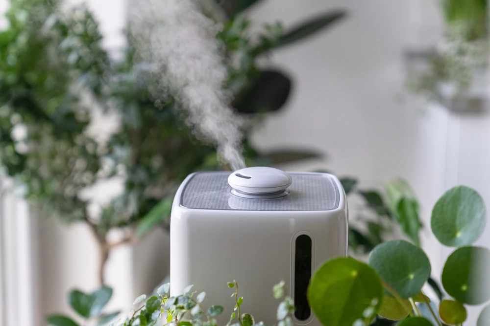 Close up of steam from the air humidifier during heating period