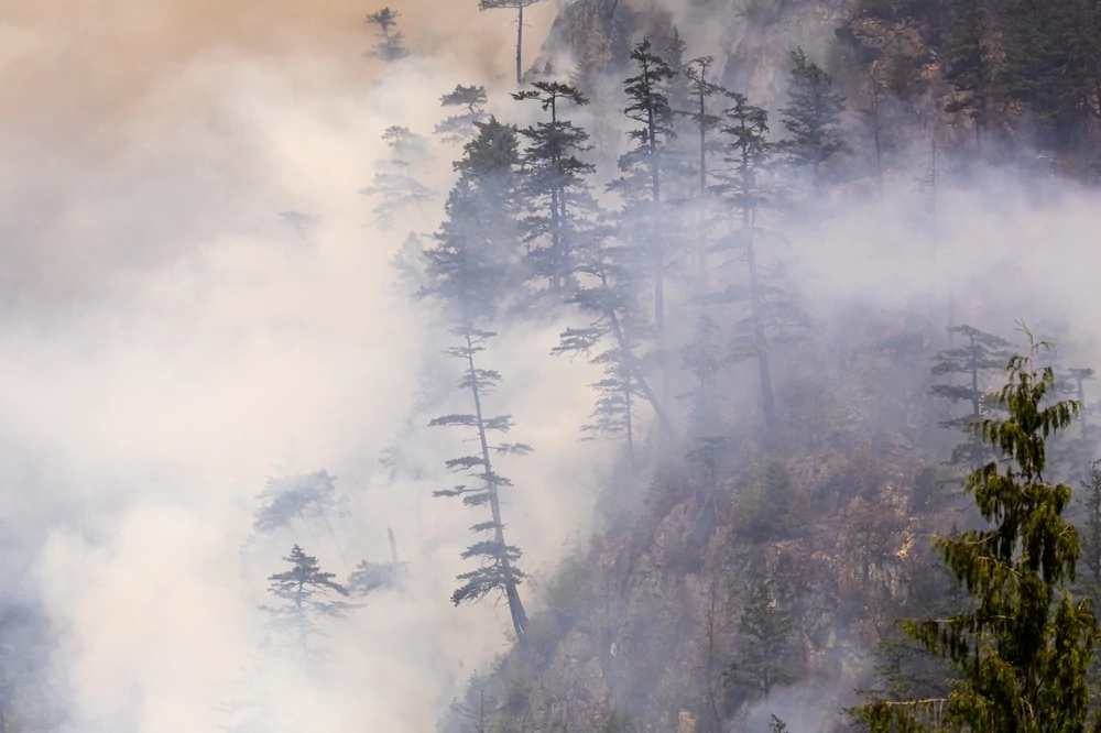 Wildfire smoke