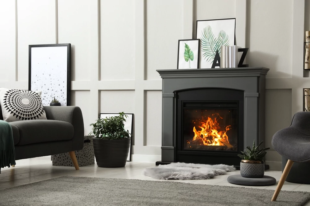 living room interior with electric fireplace