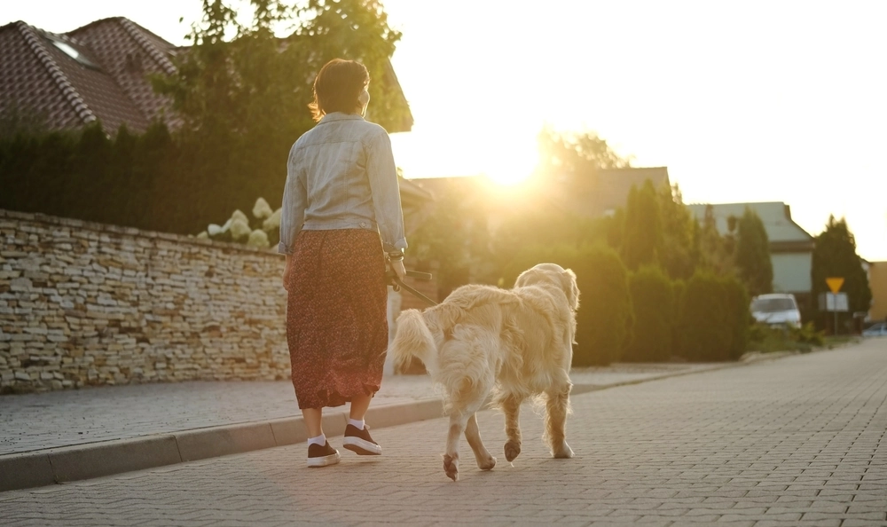 woman walking her dog