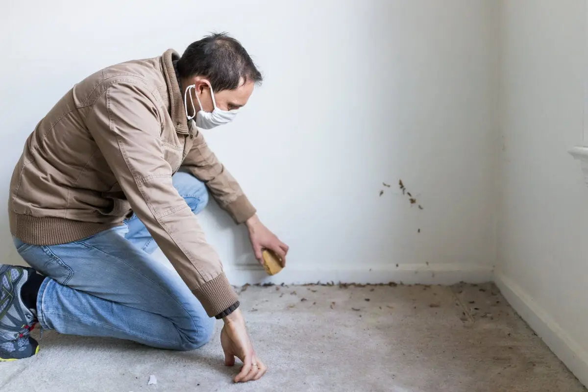 signs-of-mold