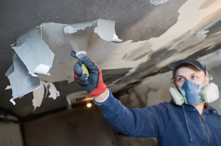 Professional Biohazard Cleanup After Fire