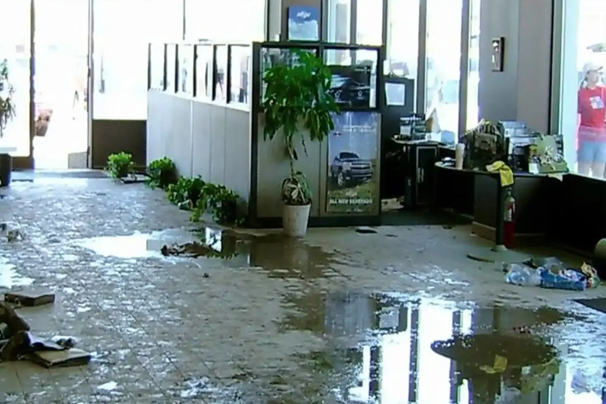 a flooded office with potted plant and water on the floor