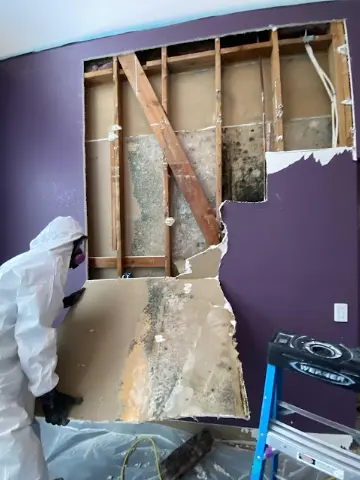How to Check for Hidden Mold