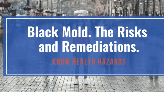Black Mold