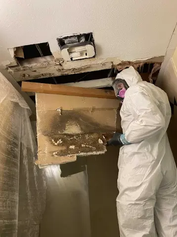 How to Check for Hidden Mold