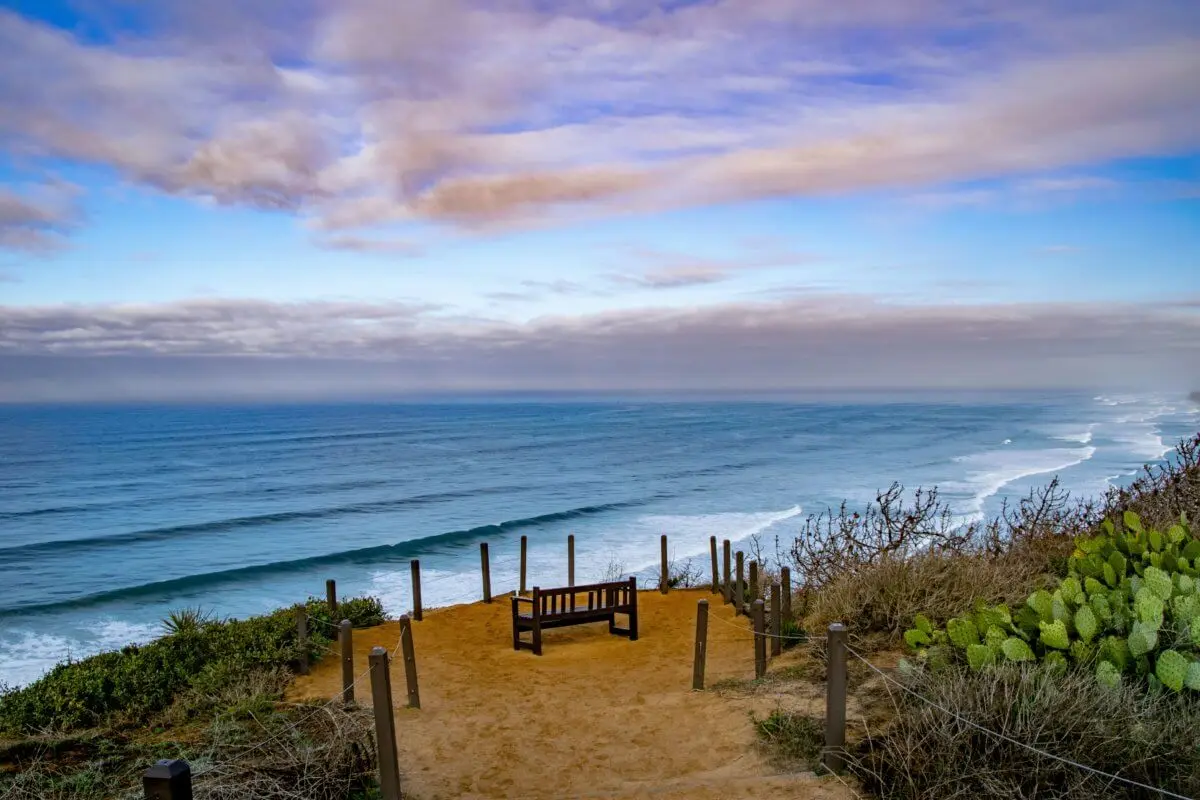 Bench overlooking Torrey Pines State Beach in Del Mar, CA