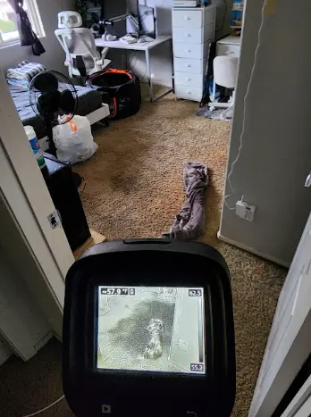 Emergency Water Damage Safety Check