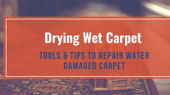 drying wet carpet