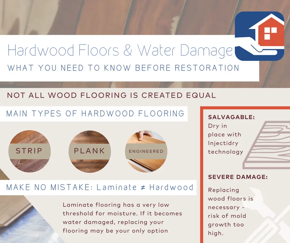 Flood restoration San Diego