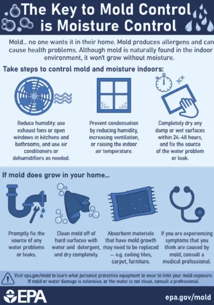 Mold Growth