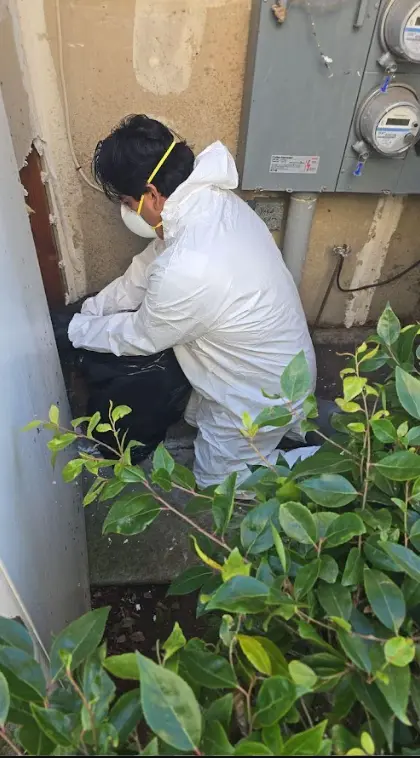 Mold Remediation San Diego