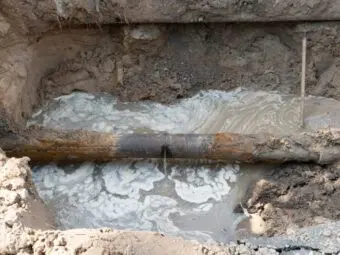 Sewage Spill
