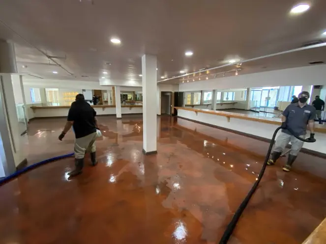 Dry out water damages